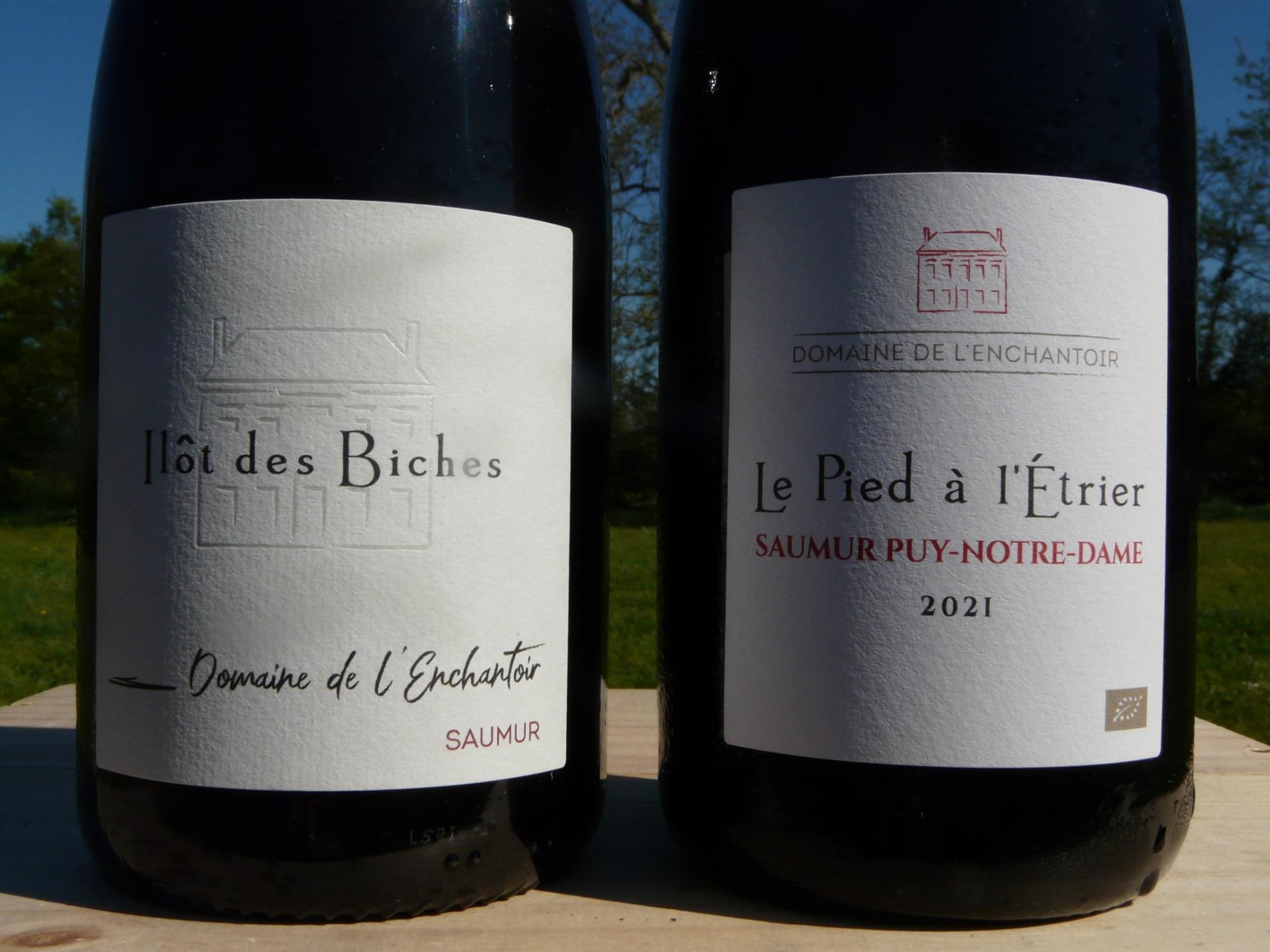 Dégustation du samedi 11 avril